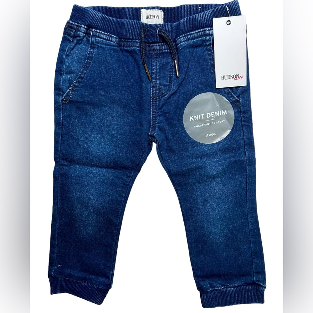 HUDSON JEANS Nate Jogger In Cameo Blue Unisex Sz 24M ✨NWT✨